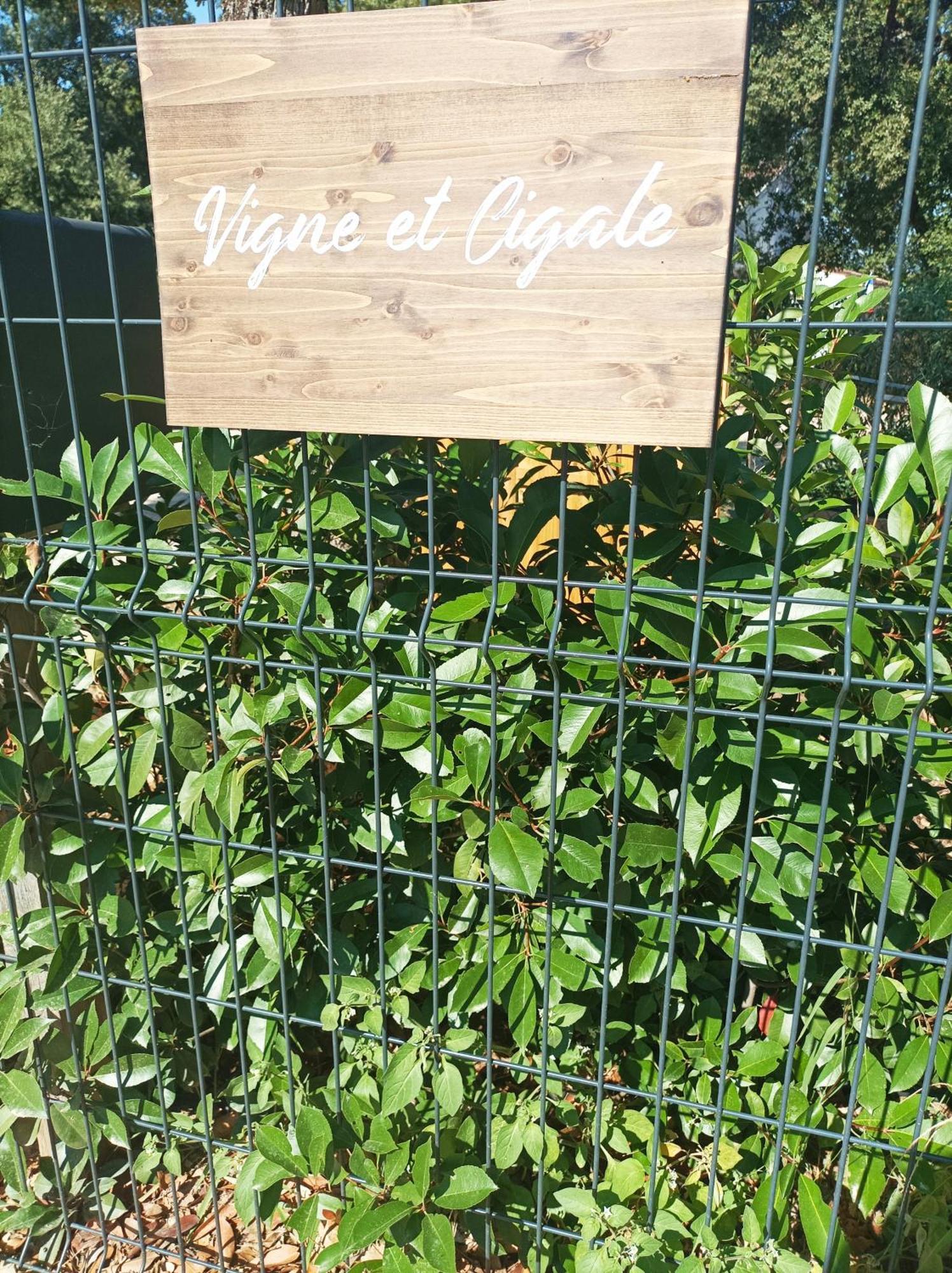 شقة Vigne Et Cigale لو ثوروني المظهر الخارجي الصورة